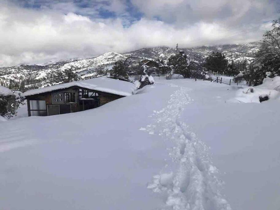 Walnut Cottage Badger Dış mekan fotoğraf